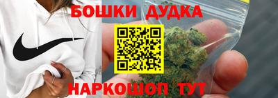 индика Аргун
