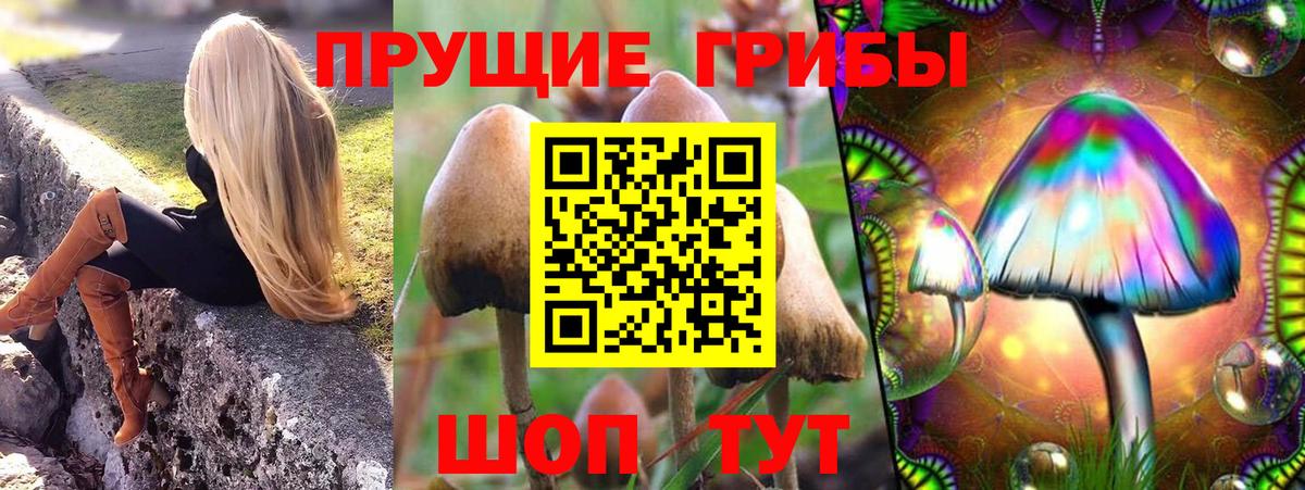 Галлюциногенные грибы Cubensis Александров