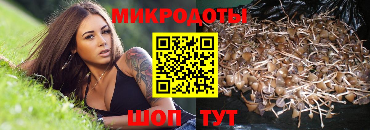 где найти   Галлюциногенные грибы ЛСД  Галлюциногенные грибы прущие грибы  Вход с VPN  Александров 